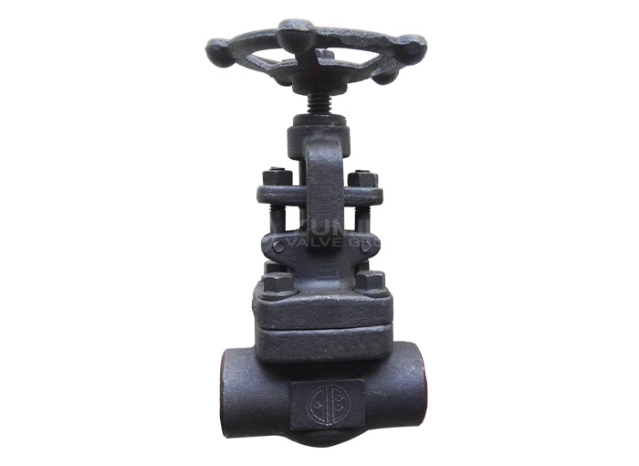 Forged steel welding globe valve