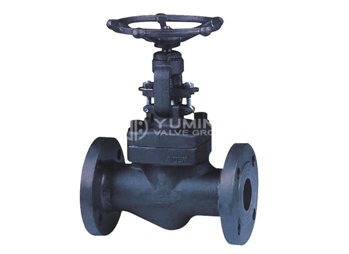 Forged steel flange globe valve