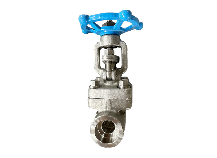 F304 socket welding gate valve api 602