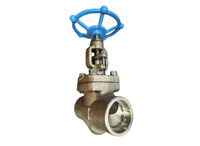 F304/F316 forged steel socket welding globe valve