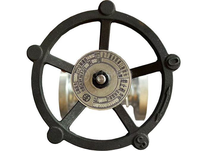 Low temperature integral forged flange globe valve
