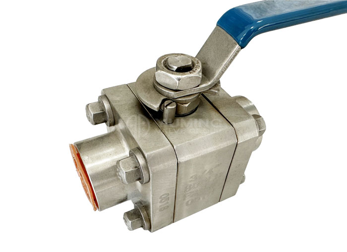 Forged 3PC Ball valve class 800 F304L