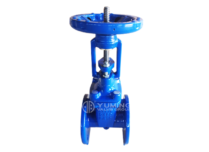 Soft Seal flange gate valve