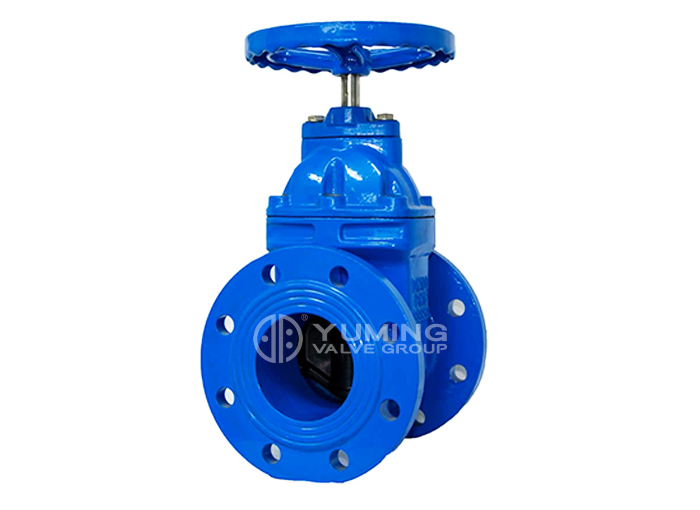 BS5163 DI gland resilient gate valve