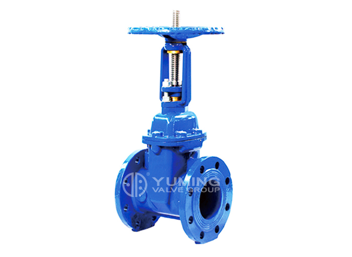 BS5163 Rising stem Resilient soft seal gate valve