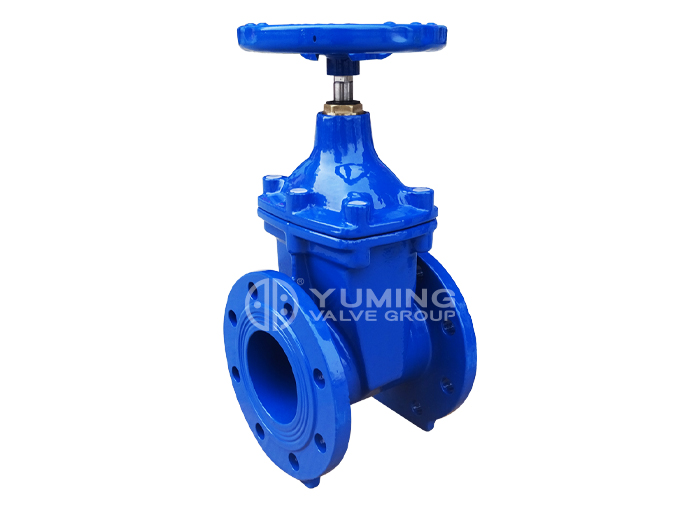 DIN 3352 F4 Resilient Seated Flanged Gate Valves