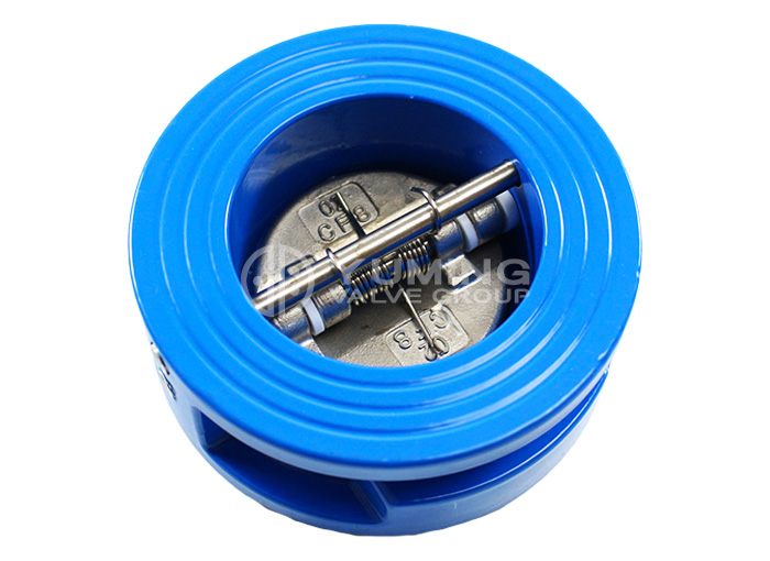 Ductile Iron Check Valve