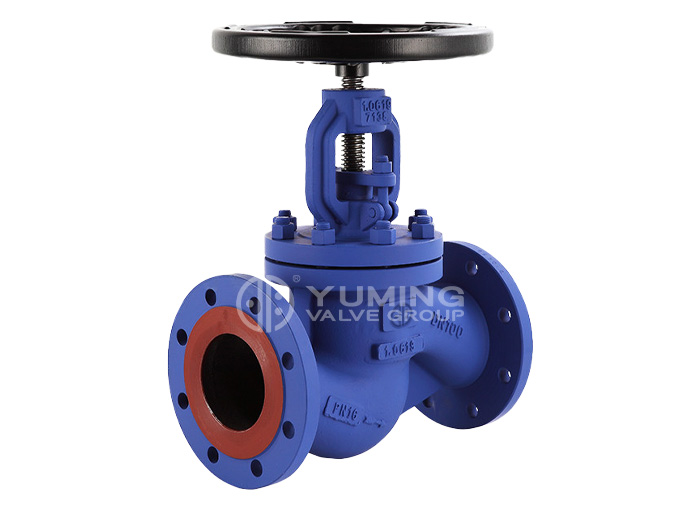 DIN Globe Valve