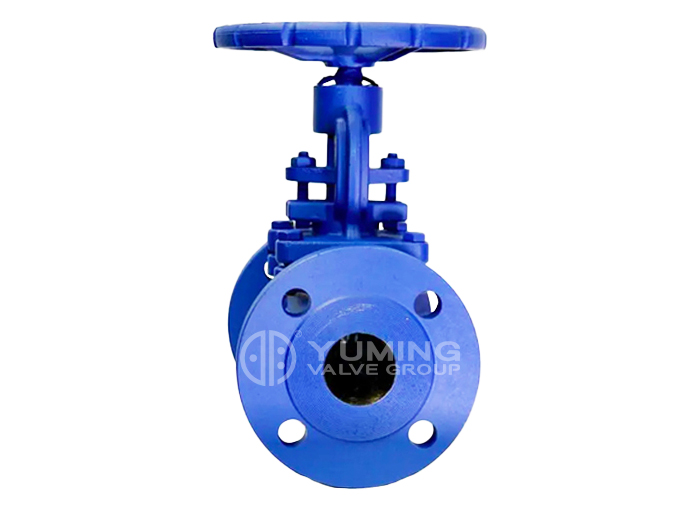 Bellows Globe Valve