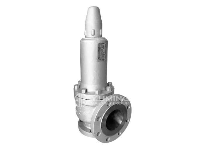 ANSI standard safety valve