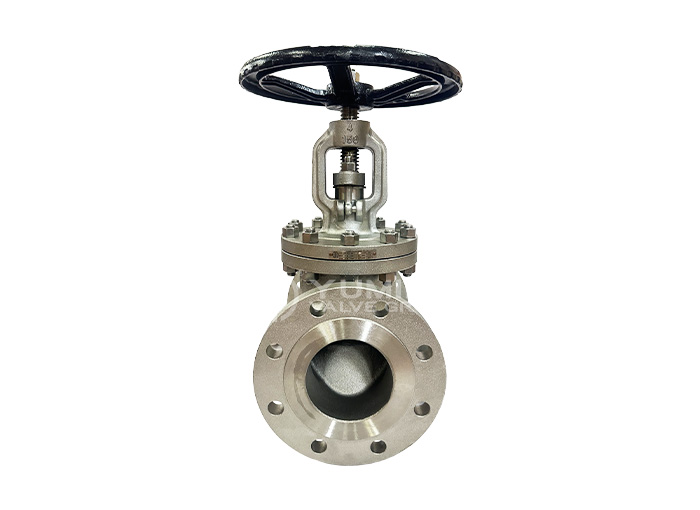 API Standard Globe Valve