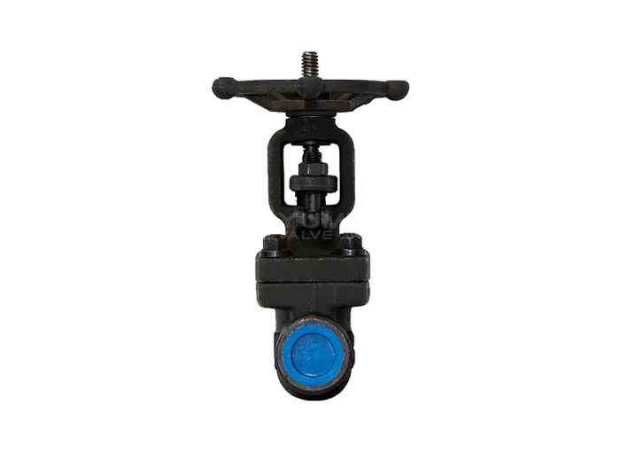 Forged Steel Gate Valve