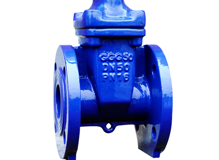 Soft Seal flange gate valve