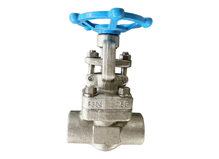 F304 socket welding gate valve api 602