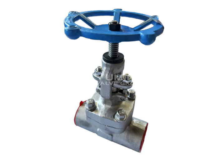 F304/F316 forged steel socket welding globe valve