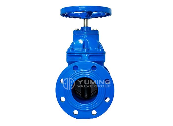 BS5163 DI gland resilient gate valve