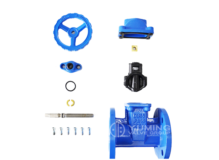 BS5163 Resilient Seat Gate Valve