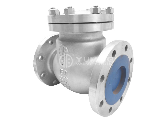 ANSI Swing Stainless steel flange Check Valve