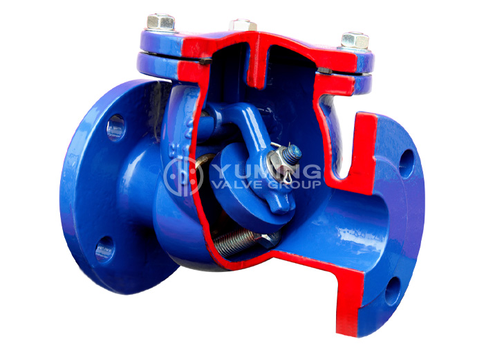 DIN swing cast iron Check Valve for water