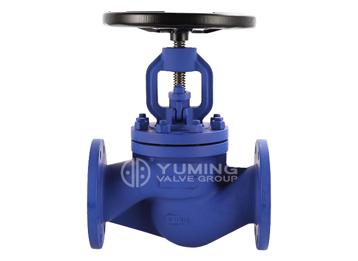 DIN Globe Valve