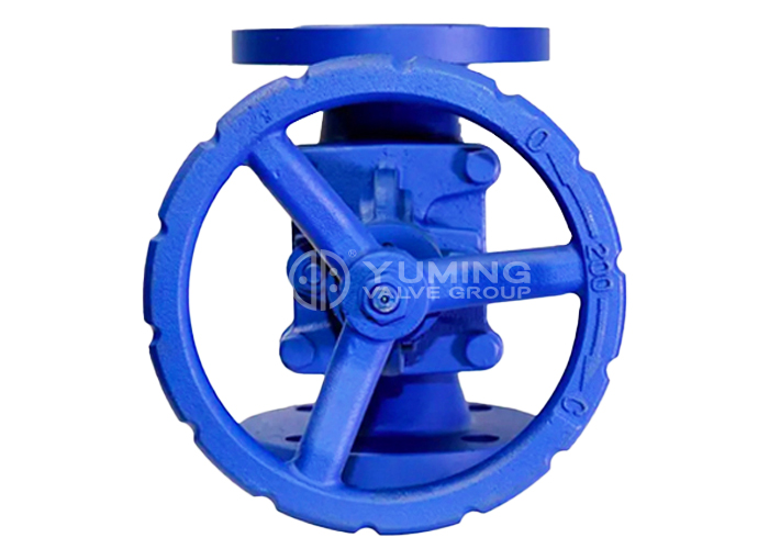 Bellows Globe Valve