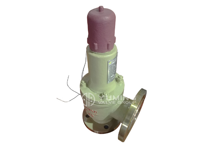 Liquefied Petroleum Gas Safety Valve