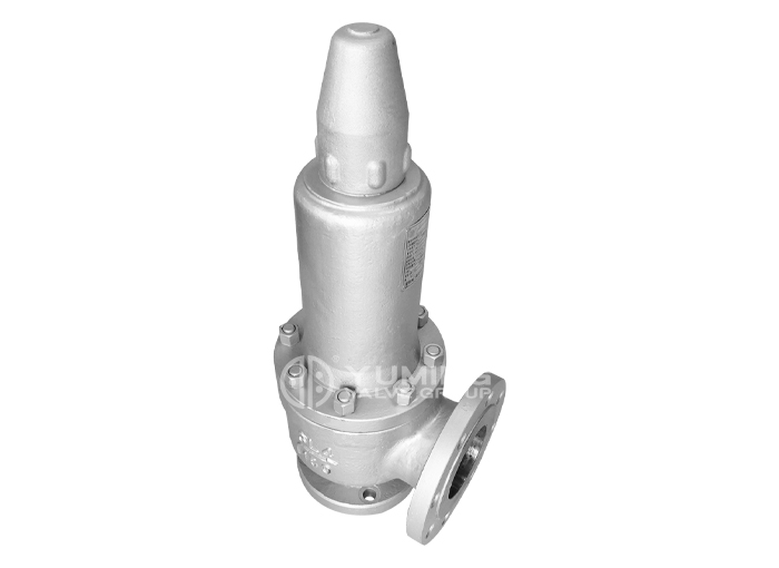 ANSI standard safety valve