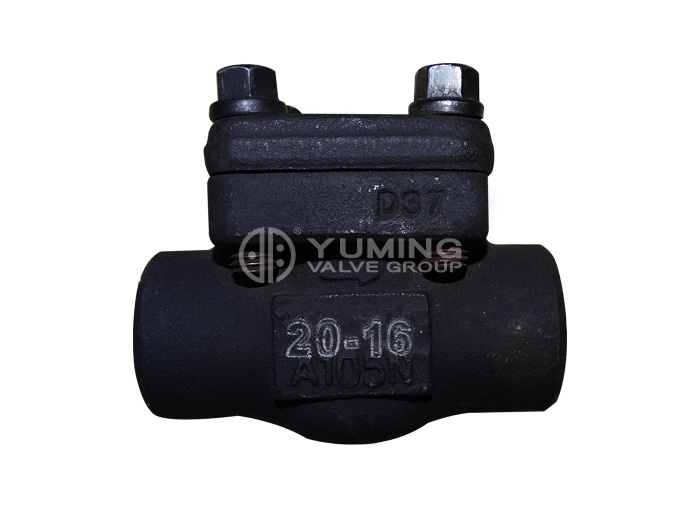 Forged steel check valve