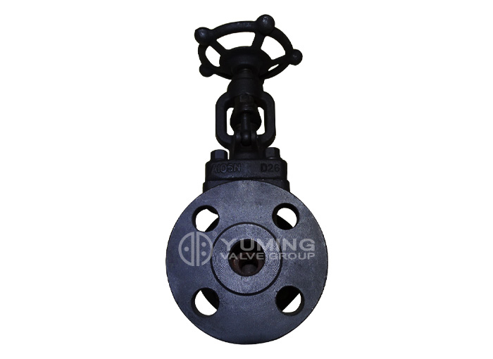 Forged steel flange globe valve
