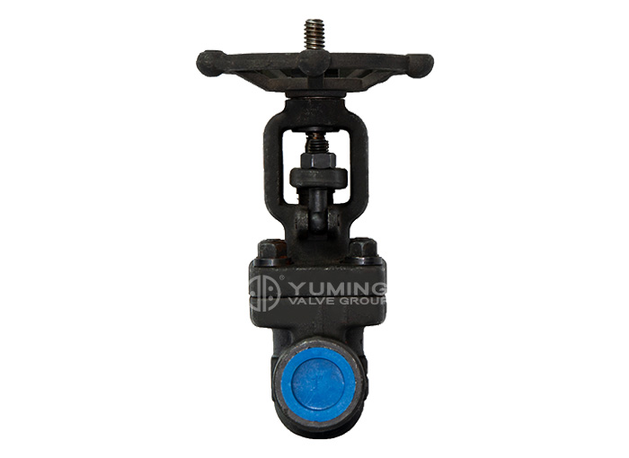 Rising stem forged steel gate valve