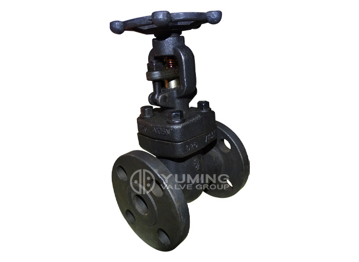 Forged steel flange gate valve