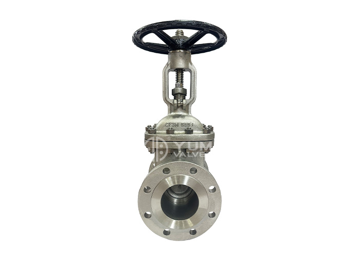 standard DIflange gate valve