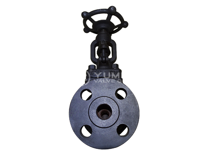 Forged steel flange globe valve