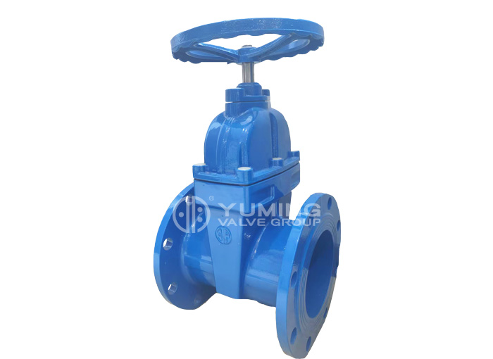 Resilient Seated Gate Valve