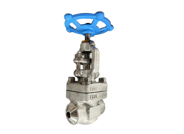 Butt welding F304 forged steel stop valve API 602