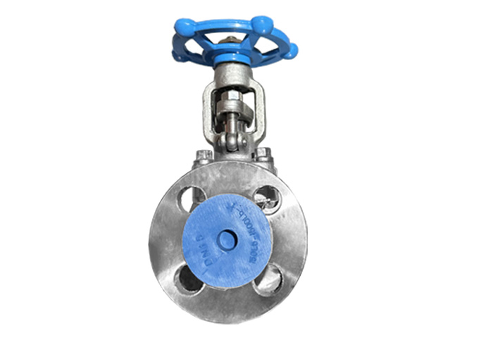 API 602 Forged Steel Flange Gate Valve F304