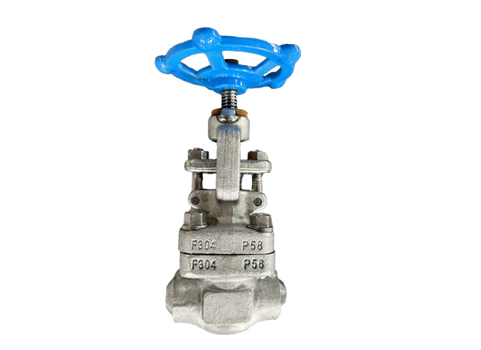 Butt welding F304 forged steel stop valve API 602