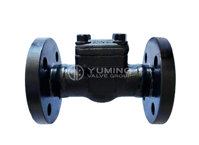 Forged Steel A105 Flange Check Valve