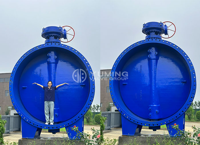  Double Eccentric Butterfly Valve