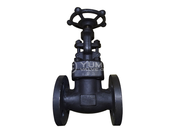 Forged steel flange globe valve