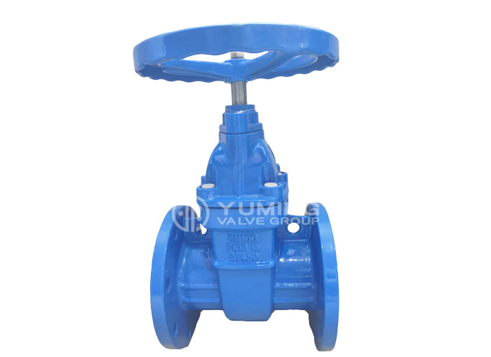 Resilient Seated Gate Valve