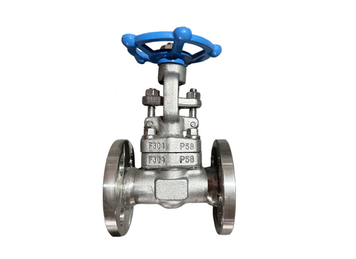API 602 Forged Steel Flange Gate Valve F304