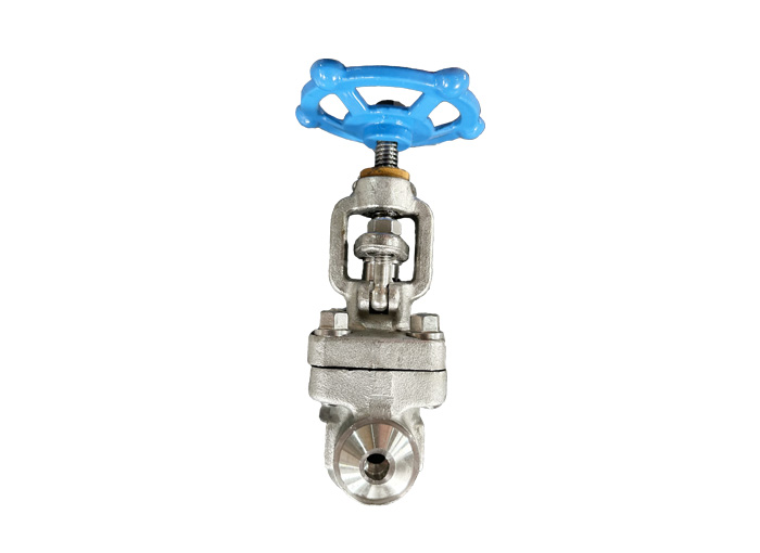 Butt welding F304 forged steel stop valve API 602