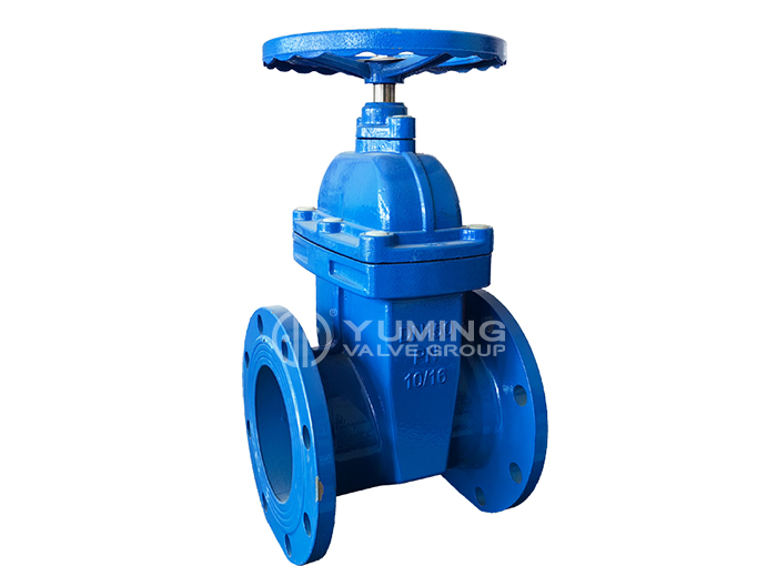 Resilient Seated Gate Valve