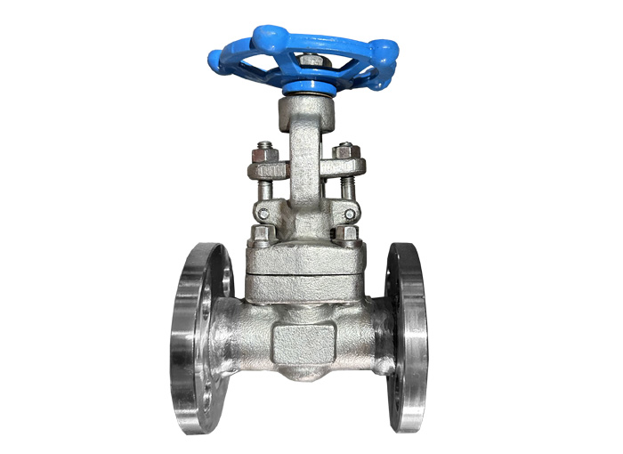 API 602 Forged Steel Flange Gate Valve F304