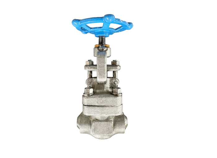 Butt welding F304 forged steel stop valve API 602