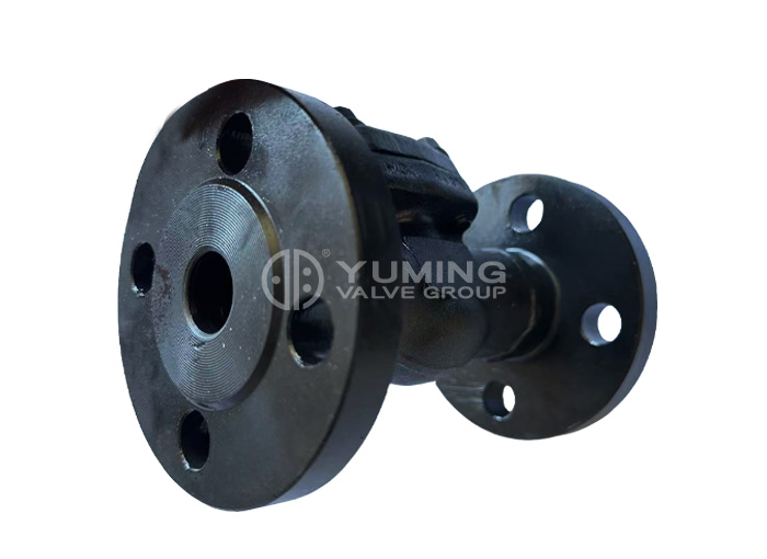 Forged Steel A105 Flange Check Valve