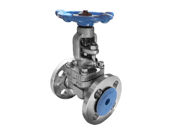 API 602 Forged Steel Flange Gate Valve F304