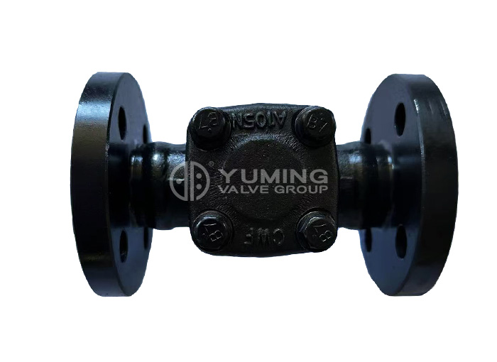 Forged Steel A105 Flange Check Valve