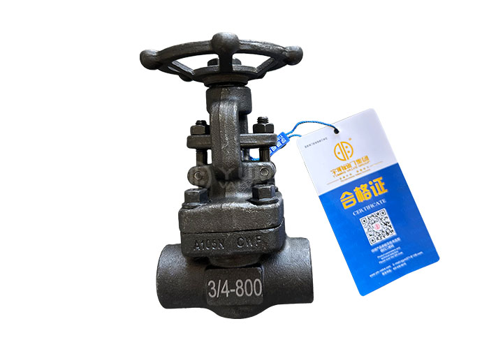 Forged Steel Gate Valve